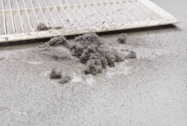 Best Professional Duct Cleaning Services  in Chatham, IL