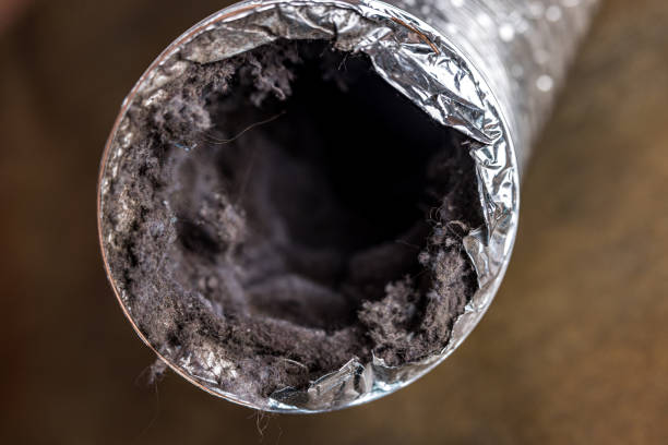 Best Residential Air Duct Cleaning  in Chatham, IL